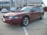 2004 40th Anniversary Crimson Red Metallic Ford Mustang GT Coupe #40410509