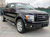 2010 Ford F150 Platinum SuperCrew 4x4