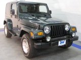 2003 Shale Green Metallic Jeep Wrangler Sahara 4x4 #40479511
