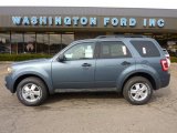 2011 Steel Blue Metallic Ford Escape XLT 4WD #40479383