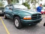 2003 Timberline Green Pearlcoat Dodge Durango Sport #40551179