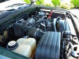 2004 Ford Explorer Eddie Bauer 4x4 4.6 Liter SOHC 16-Valve V8 Engine