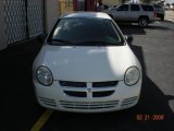 2004 Stone White Dodge Neon SE #4056419