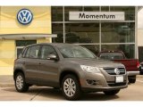 2009 Alpine Grey Metallic Volkswagen Tiguan S #4054435