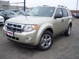 2011 Gold Leaf Metallic Ford Escape XLT V6 4WD #40667778