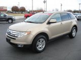 Dune Pearl Metallic Ford Edge in 2007