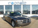 2010 Dark Titanium Metallic Dodge Charger SE #40756060