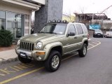 2002 Jeep Liberty Renegade 4x4 Front 3/4 View