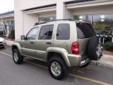 2002 Jeep Liberty Cactus Green Metallic