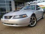 2004 Silver Metallic Ford Mustang GT Coupe #40755982