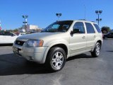 2003 Ford Escape Limited Front 3/4 View