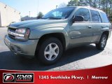 2004 Silver Green Metallic Chevrolet TrailBlazer LS #40821321