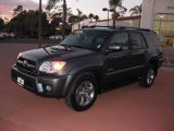 2006 Shadow Mica Toyota 4Runner Limited #40879106