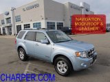 2008 Light Ice Blue Ford Escape Hybrid 4WD #40961670