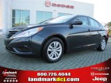 2011 Pacific Blue Pearl Hyundai Sonata GLS #40961912