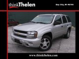 2007 Silverstone Metallic Chevrolet TrailBlazer LS 4x4 #40962457