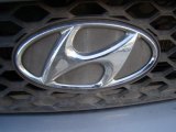 Hyundai Santa Fe 2004 Badges and Logos