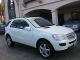 2008 Mercedes-Benz ML 350 4Matic