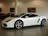 2009 Bianco Monocerus (White) Lamborghini Gallardo LP560-4 Coupe #4095664