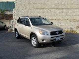 2007 Savannah Metallic Toyota RAV4 4WD #41068691