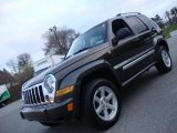 2005 Dark Khaki Pearl Jeep Liberty Limited 4x4 #41111665