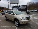 2008 Savannah Metallic Lexus RX 350 AWD #41111912