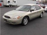 2006 Gold Ash Metallic Ford Taurus SE #4088320