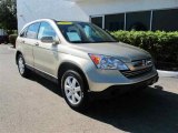 2008 Borrego Beige Metallic Honda CR-V EX-L #41177070