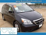 2007 Honda Odyssey EX-L