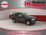 2003 Aspen Green Metallic Ford Escape XLT V6 #41237353