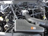 2010 Ford F150 XL Regular Cab 4.6 Liter SOHC 16-Valve Triton V8 Engine