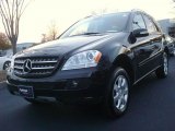 2007 Mercedes-Benz ML 350 4Matic