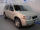 2004 Gold Ash Metallic Ford Escape Limited 4WD #41238170