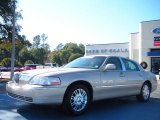 2010 Light French Silk Metallic Lincoln Town Car Signature Limited #41300615