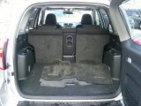 2010 Toyota RAV4 Sport Trunk