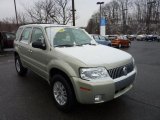 2006 Mercury Mariner Convenience 4WD Data, Info and Specs