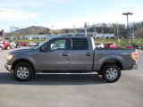 2010 Sterling Grey Metallic Ford F150 XLT SuperCrew 4x4 #41300505