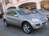 2008 Pewter Metallic Mercedes-Benz ML 350 4Matic #41404041