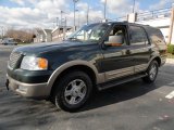 2003 Aspen Green Metallic Ford Expedition Eddie Bauer 4x4 #41404176