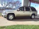 2002 Chevrolet TrailBlazer Light Pewter Metallic