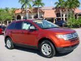 2007 Blazing Copper Metallic Ford Edge SE #41404019