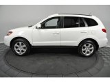 2008 Hyundai Santa Fe SE 4WD Exterior