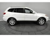 2008 Hyundai Santa Fe SE 4WD Exterior