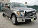 2010 Sterling Grey Metallic Ford F150 XLT SuperCrew #41459796