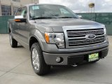 2010 Sterling Grey Metallic Ford F150 Platinum SuperCrew 4x4 #41459798