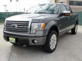 2010 Ford F150 Sterling Grey Metallic