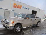 2010 Pueblo Gold Metallic Ford F150 XLT SuperCrew 4x4 #41459682