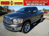 2006 Mineral Gray Metallic Dodge Ram 1500 ST Regular Cab #41534663