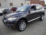 2010 Volkswagen Touareg Galapagos Metallic