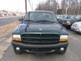 2000 Forest Green Pearl Dodge Dakota Sport Regular Cab #41534071